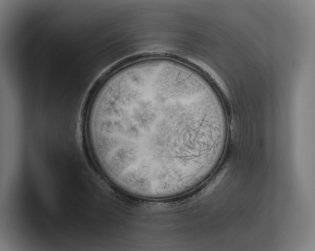 X0000102300783200808221420