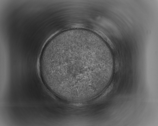 X0000102300798200808221420