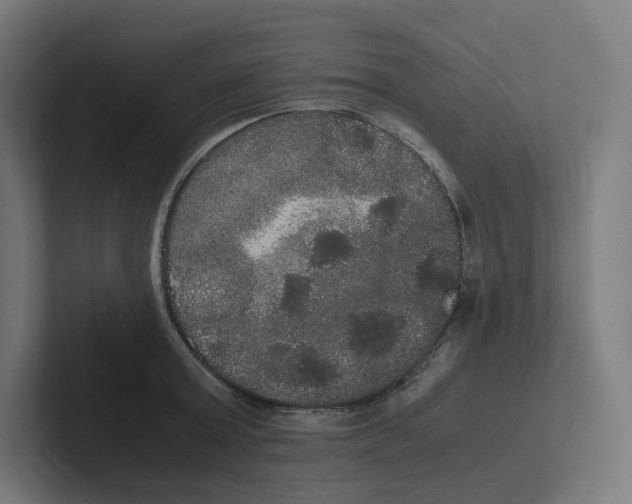 X0000102300803200808221420