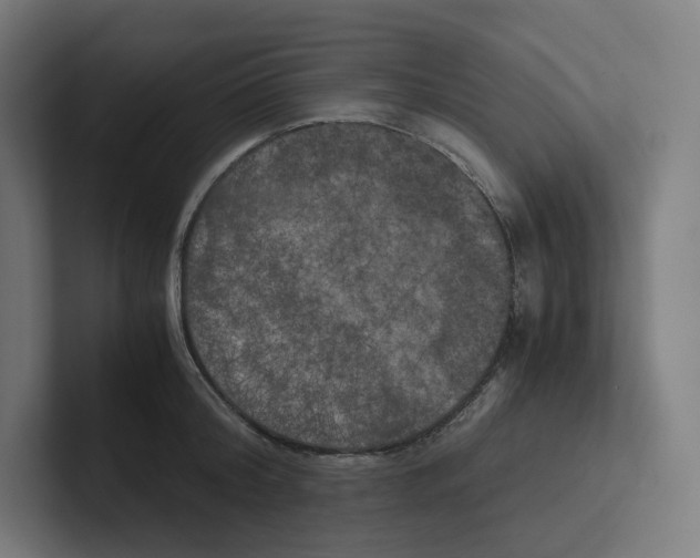 X0000102300804200808221420