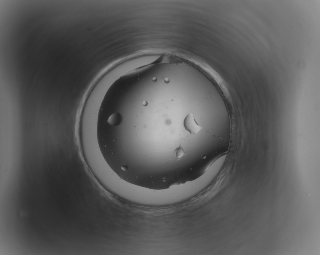 X0000102300807200808221419