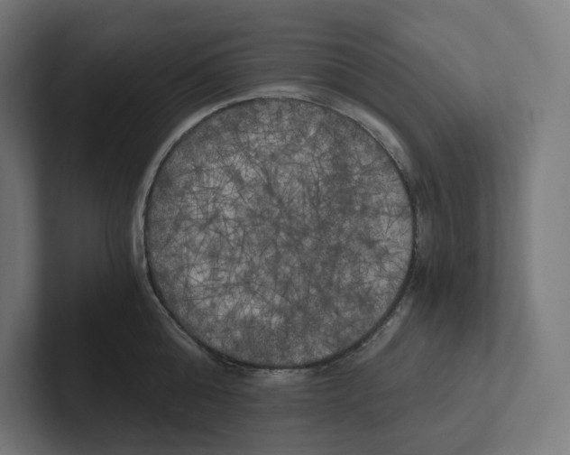 X0000102300808200808221419