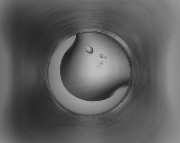 X0000102300809200808221419