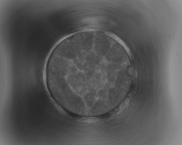 X0000102300811200808221419