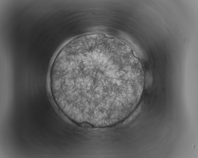 X0000102300812200808221419