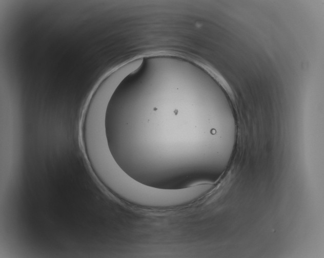 X0000102300813200808221419