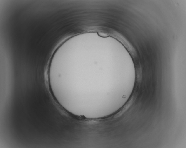 X0000102300814200808221419