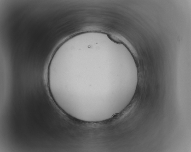 X0000102300815200808221419