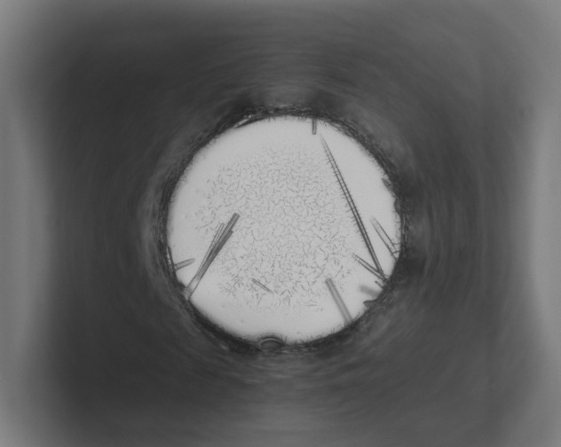 X0000102300817200808221419