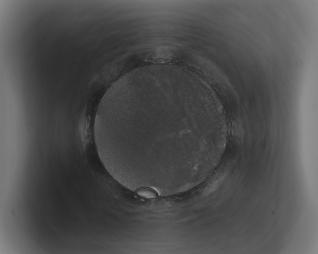 X0000102300818200808221419