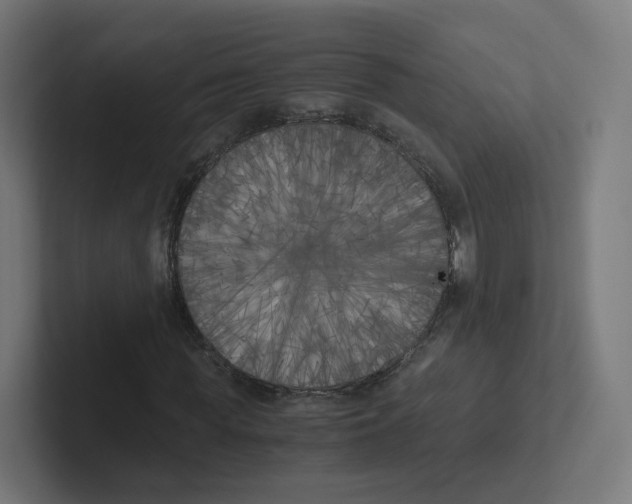 X0000102300819200808221419