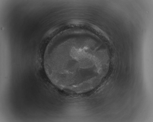 X0000102300822200808221419