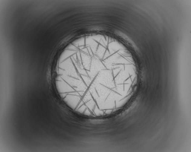 X0000102300825200808221419