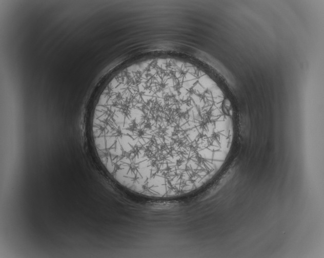 X0000102300826200808221419