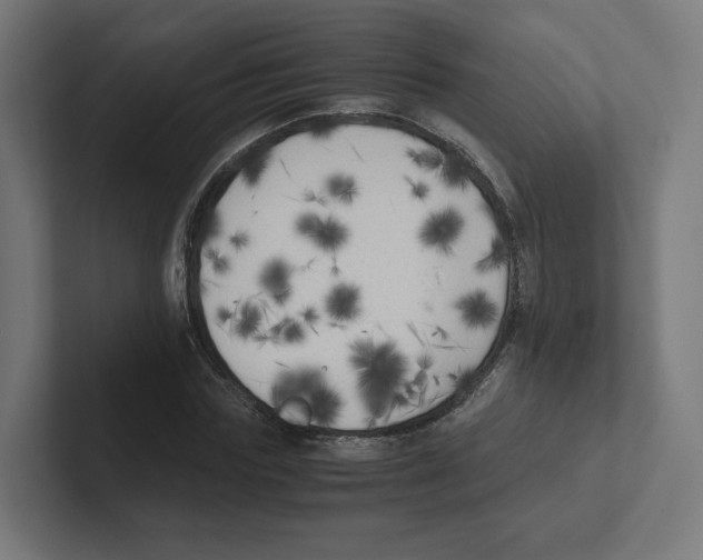 X0000102300827200808221419