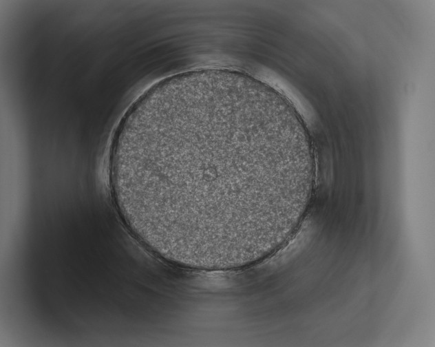X0000102300828200808221419