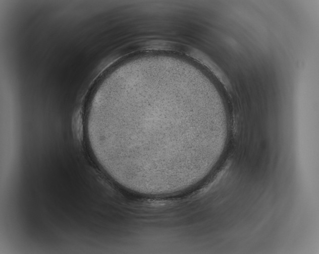 X0000102300829200808221419