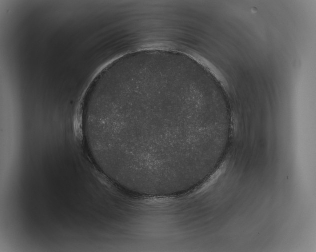 X0000102300830200808221419