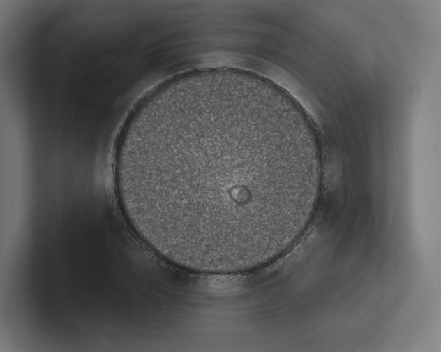 X0000102300832200808221419