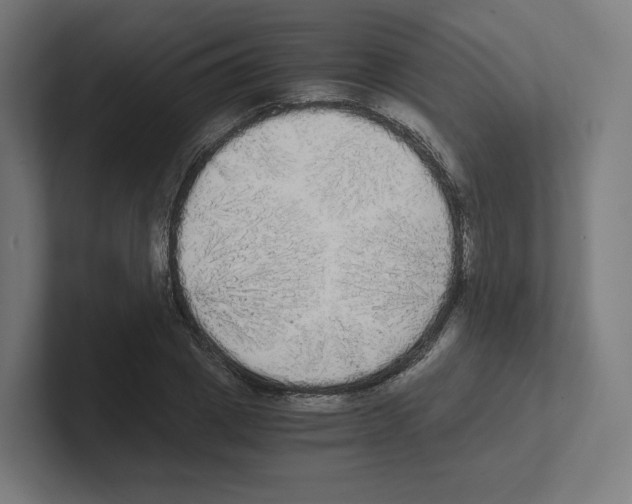 X0000102300833200808221419