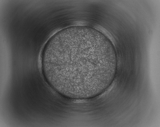 X0000102300835200808221419