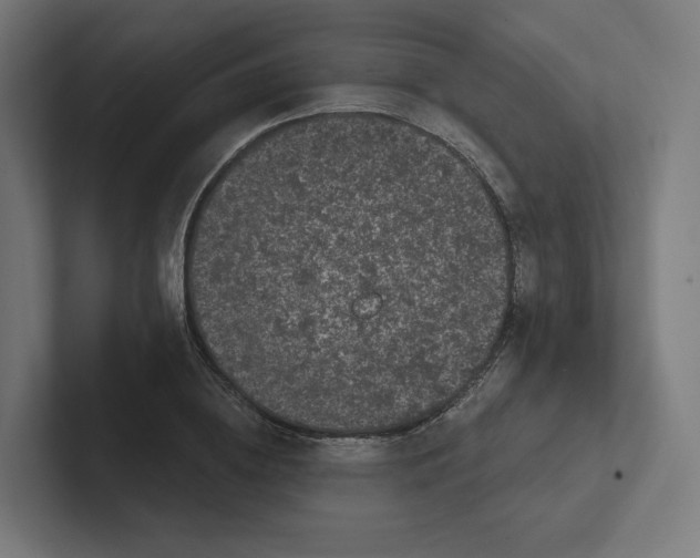 X0000102300836200808221419