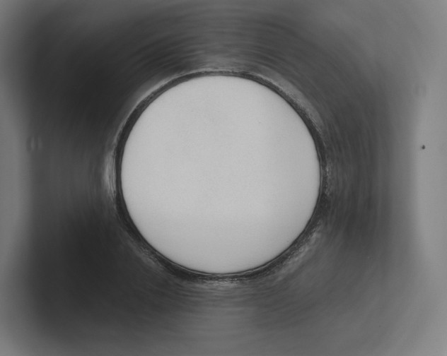 X0000102300838200808221419