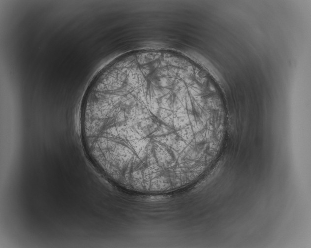 X0000102300839200808221419