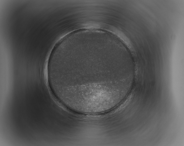 X0000102300840200808221419