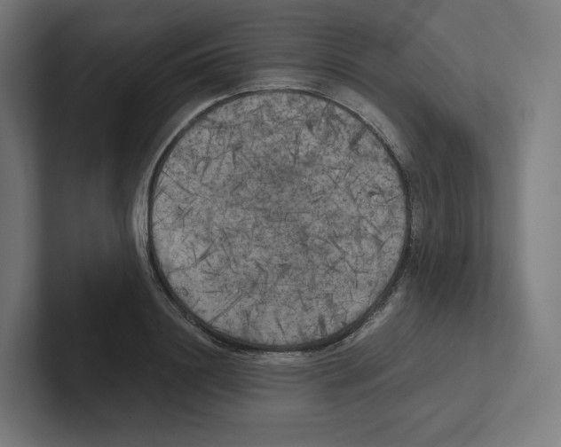 X0000102300844200808221419