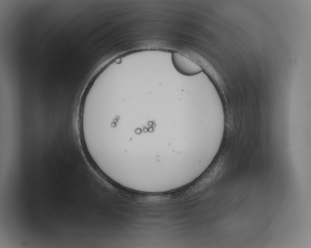 X0000102300847200808221419