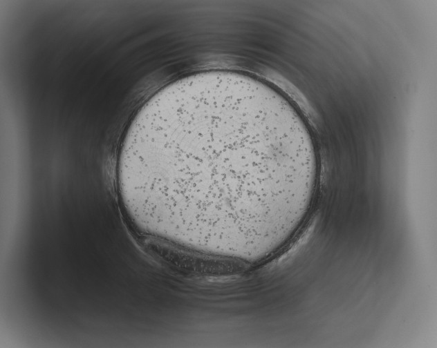 X0000102300849200808221419