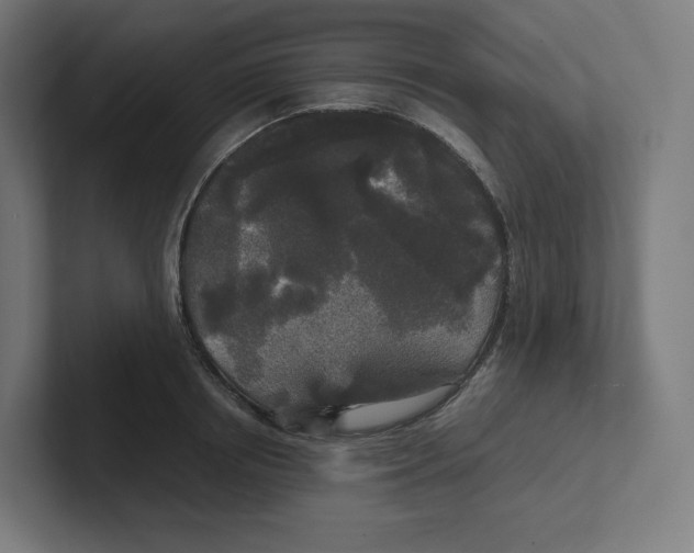 X0000102300850200808221419