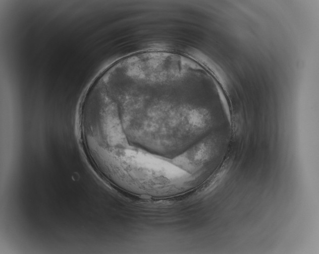 X0000102300851200808221419
