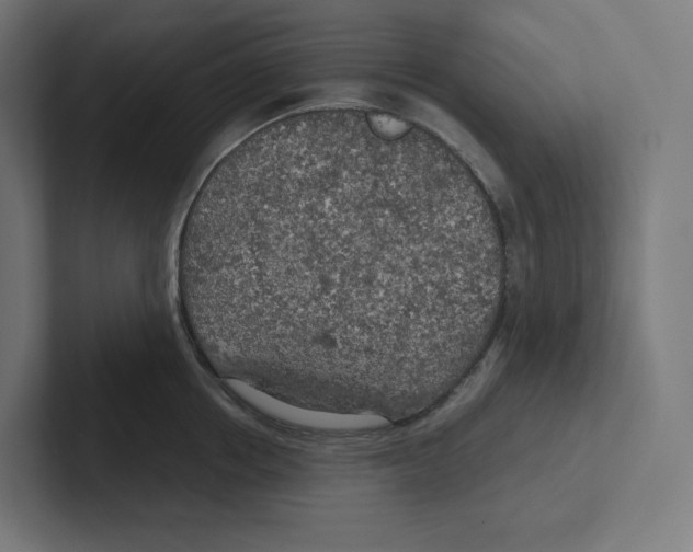 X0000102300858200808221419