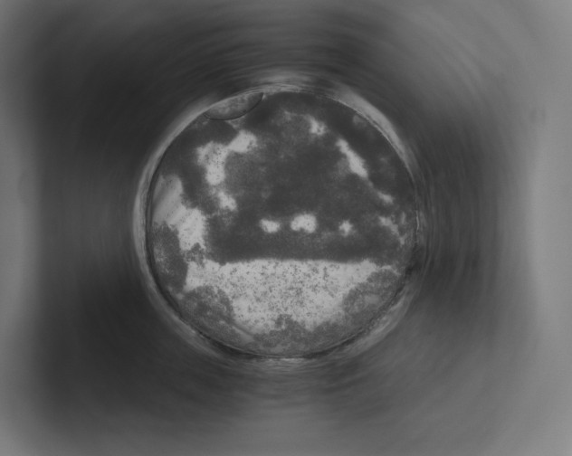 X0000102300859200808221419