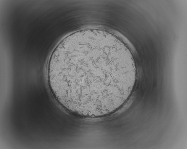 X0000102300860200808221419