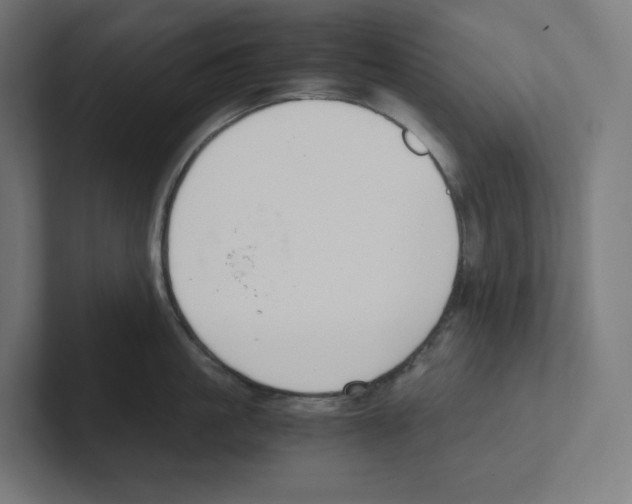 X0000102300861200808221419