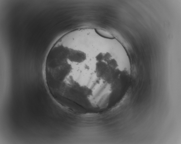 X0000102300863200808221419