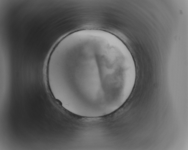 X0000102300864200808221419
