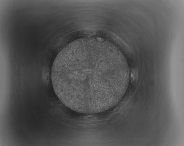 X0000102300867200808221419