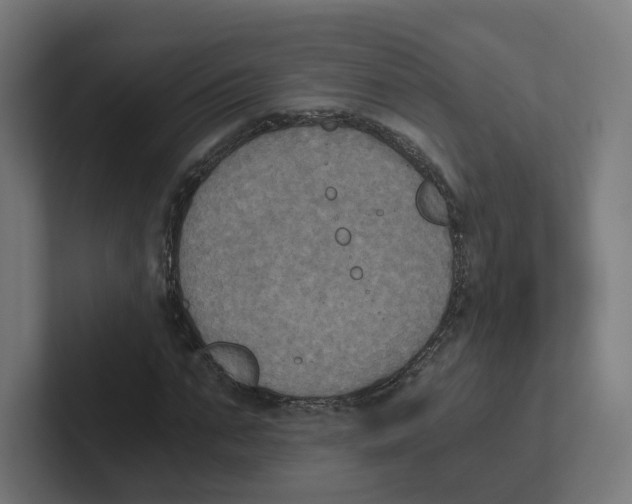 X0000102300871200808221419