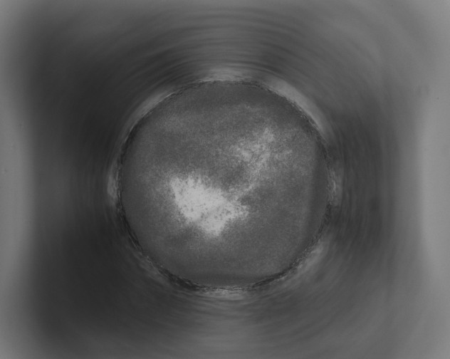 X0000102300874200808221419