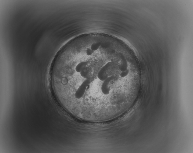 X0000102300879200808221419
