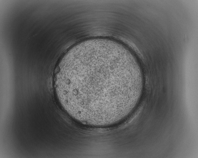 X0000102300881200808221419