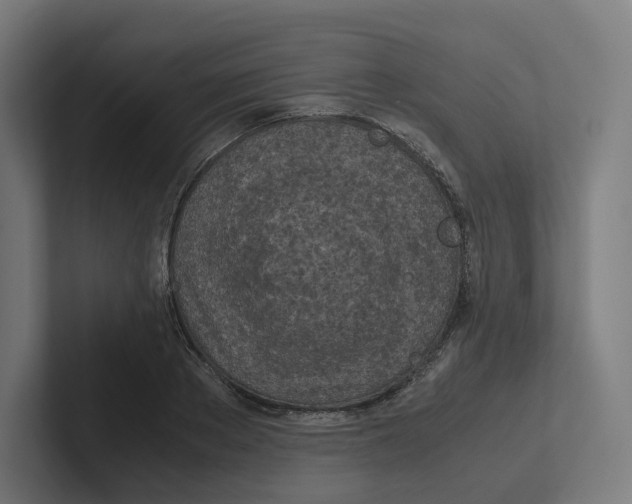 X0000102300889200808221418