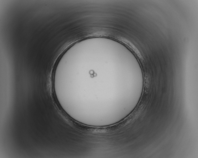 X0000102300890200808221418