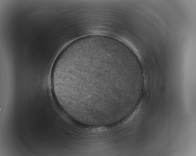 X0000102300891200808221418