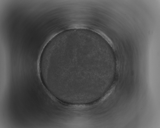 X0000102300893200808221418