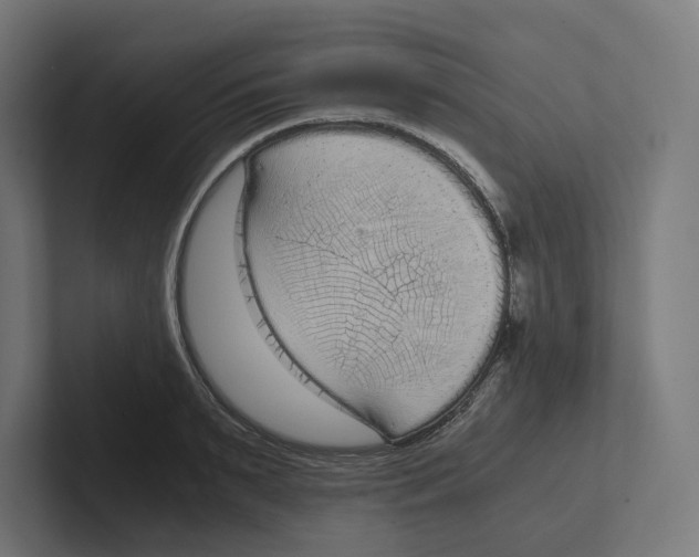X0000102300895200808221418